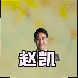 赵凯